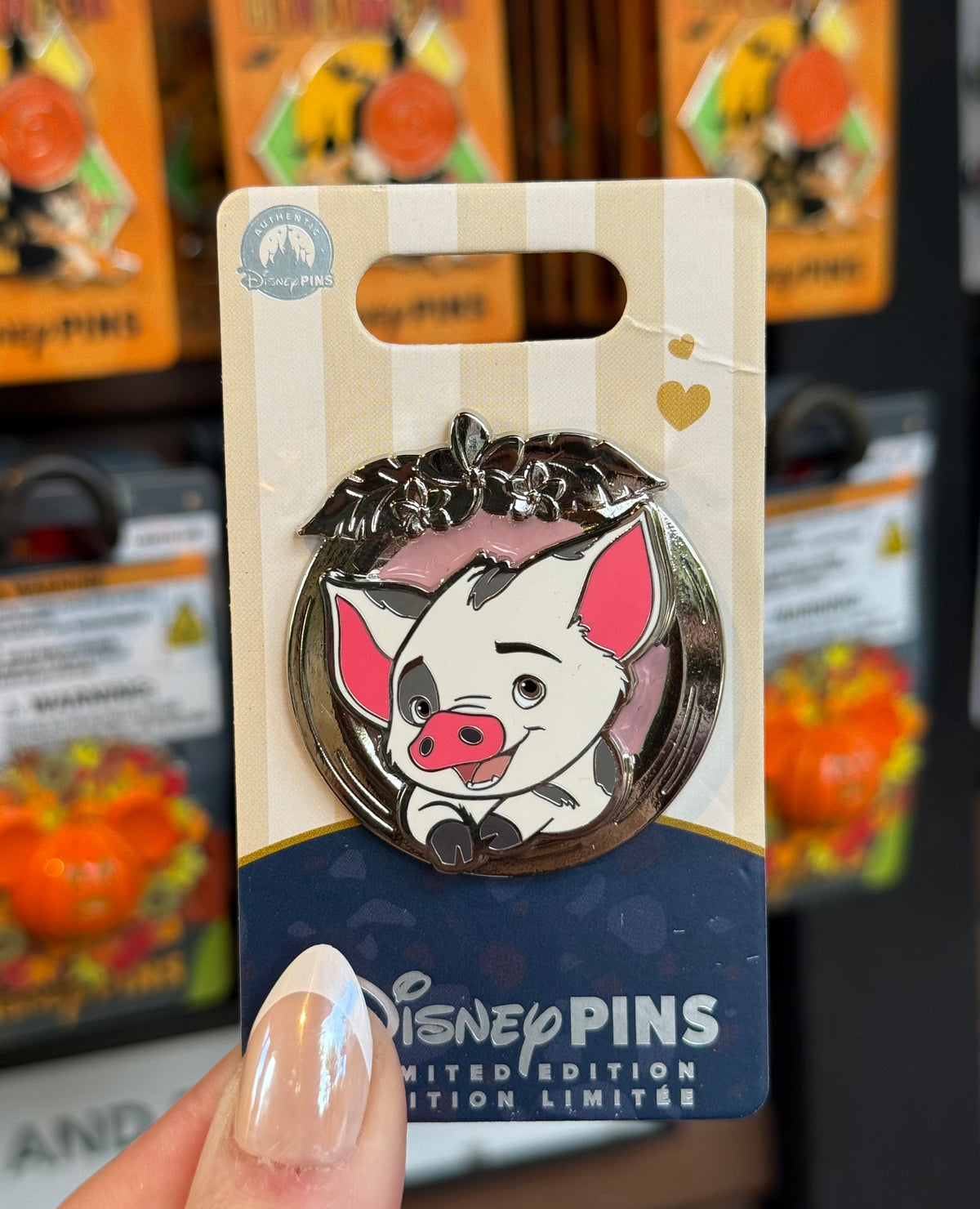 2026 Disney Tails of Friendship Pua Pin LE 1500