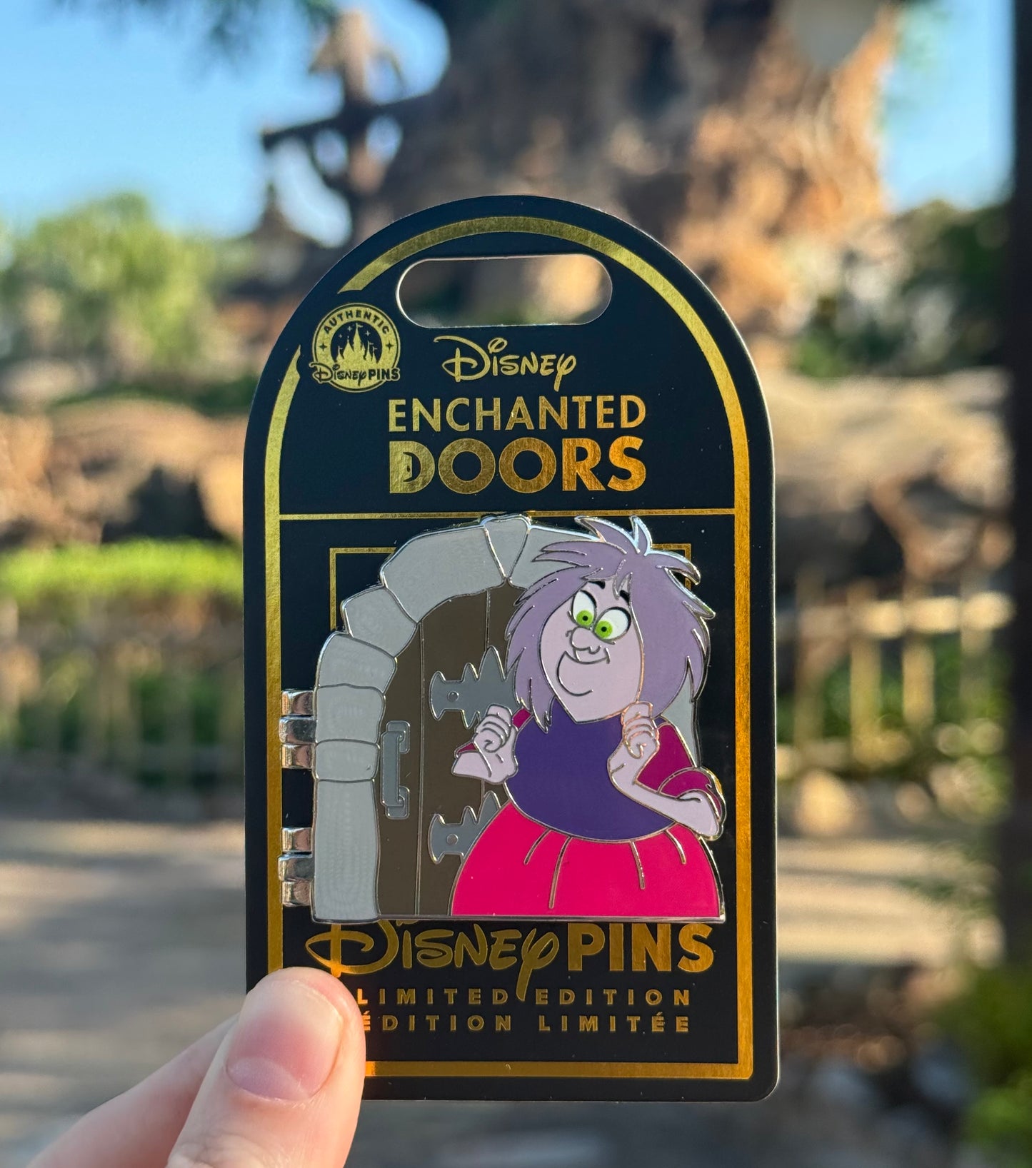 The Sword In The Stone Enchanted Door