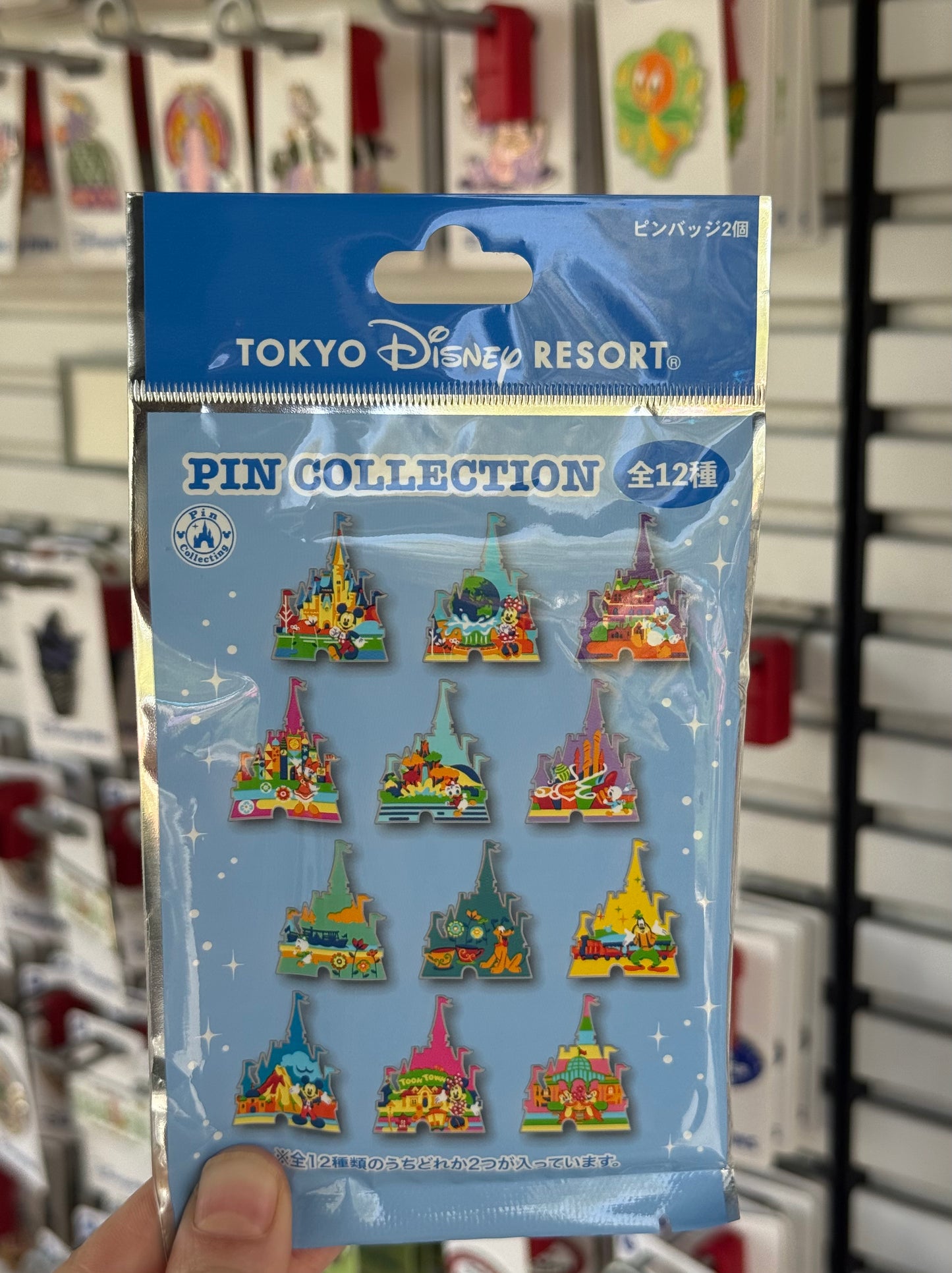 HKDL Mystery Bag Castles~ 2 pins