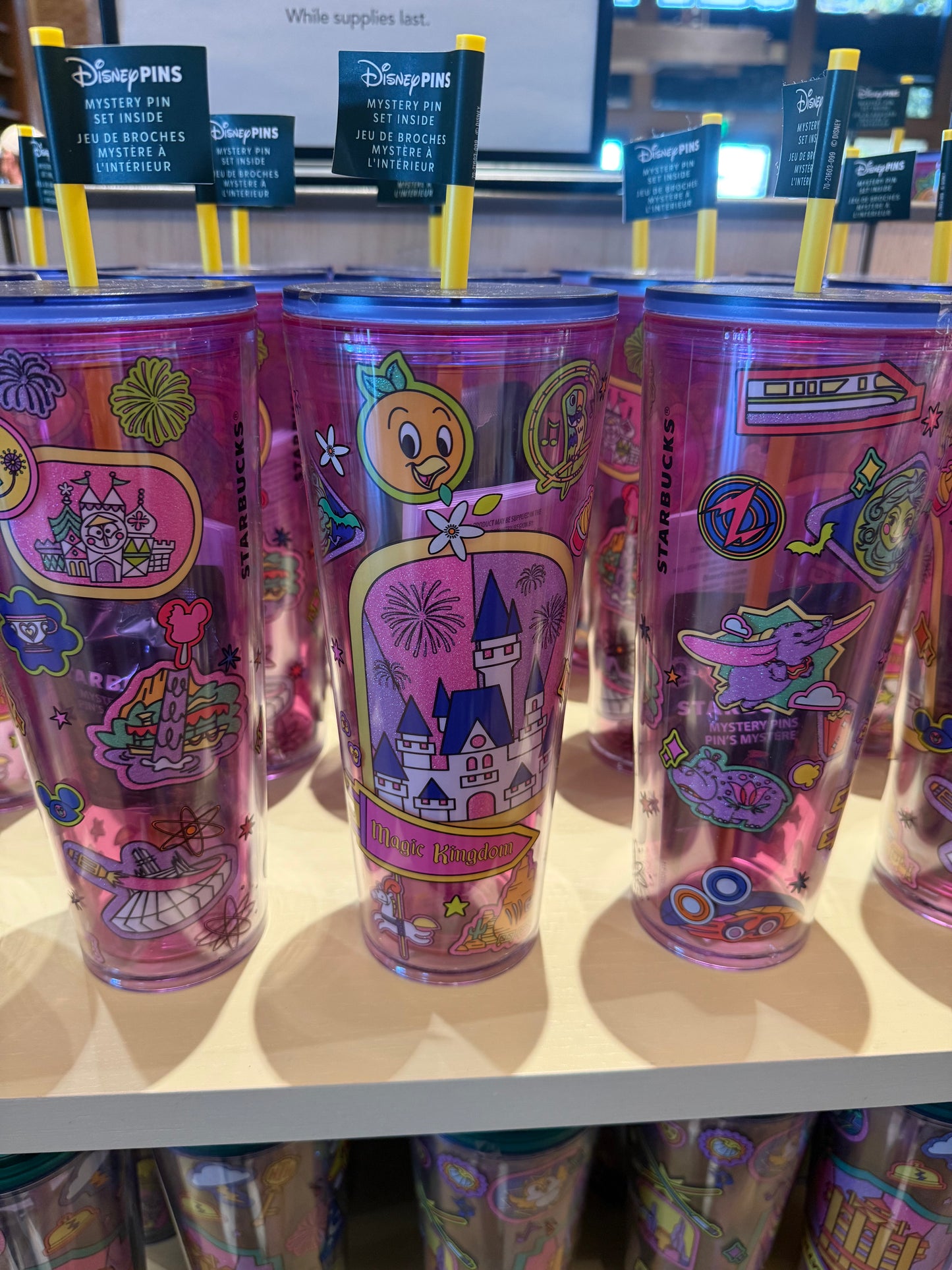 Magic Kingdom Tumbler With Mystery Pins
