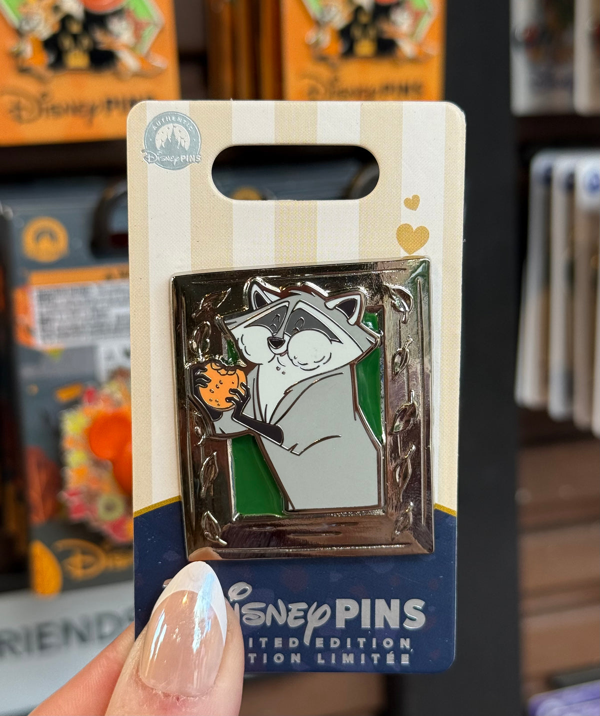 2026 Disney Tails of Friendship Meeko Pin LE 1500