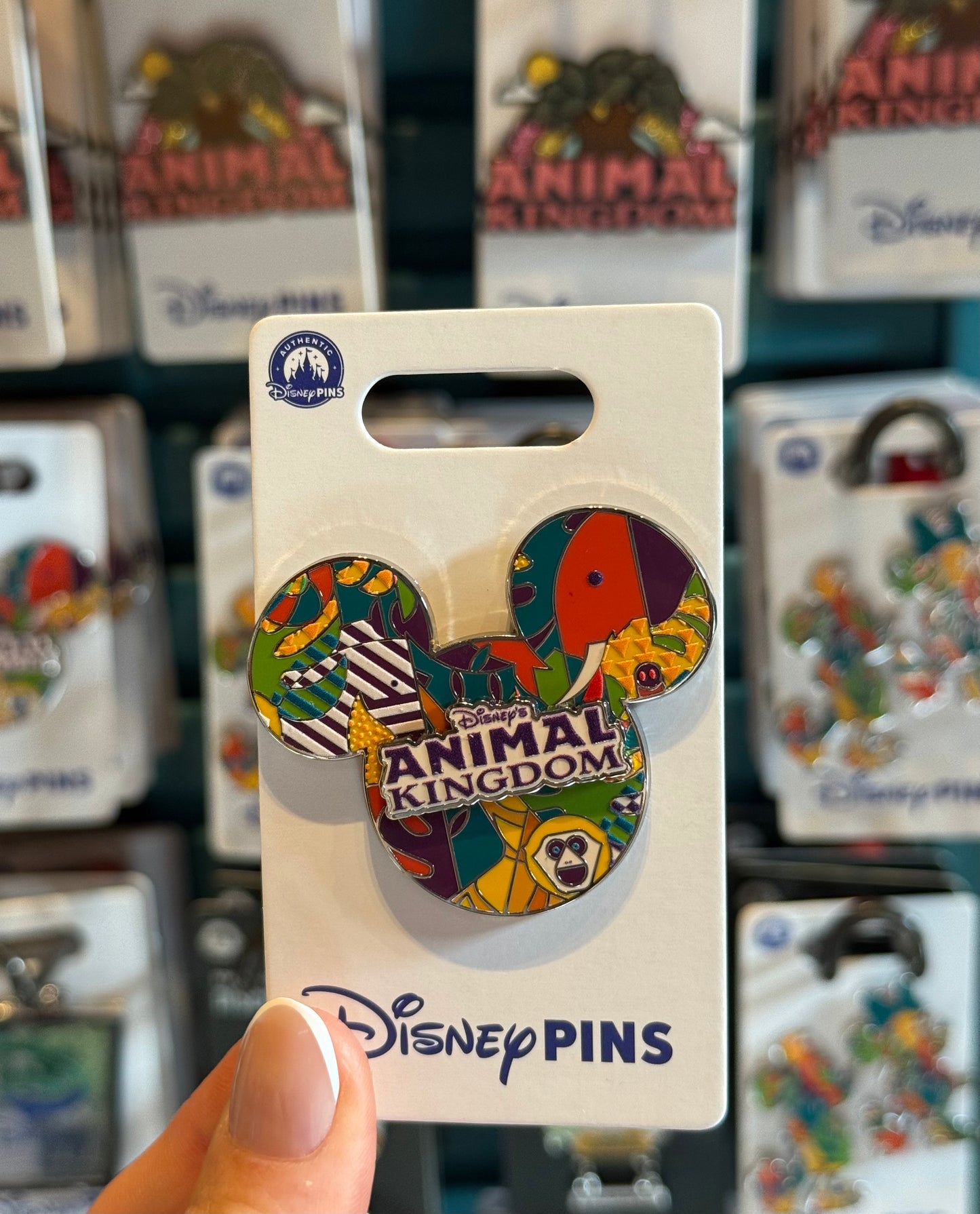 Animal Kingdom Mickey Head Pin