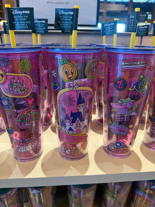 Magic Kingdom Tumbler With Mystery Pins